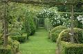 FilRoses_MmeDethier (9)